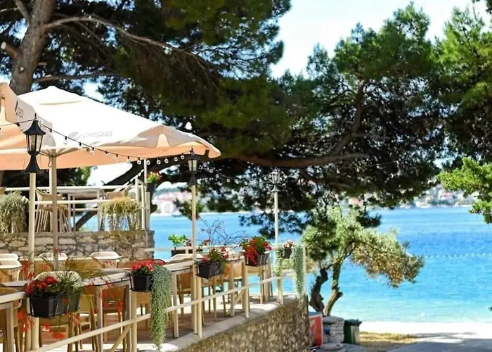 Marijana * 트로기르